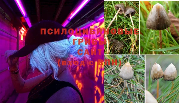круглые Алексеевка