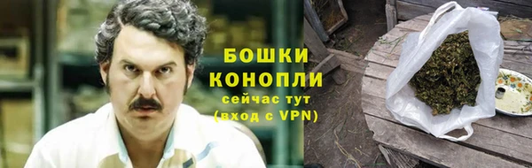 прущие грибы Абдулино