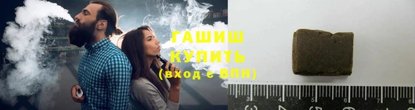 стаф Алзамай