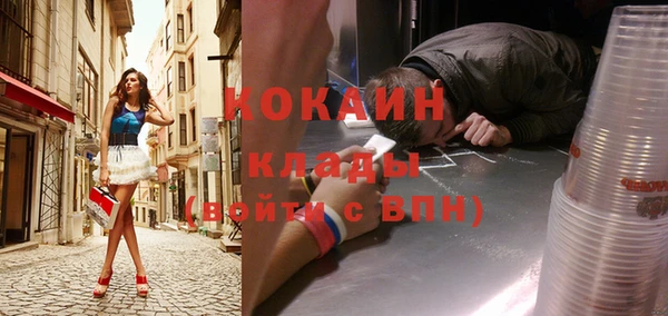стаф Алзамай