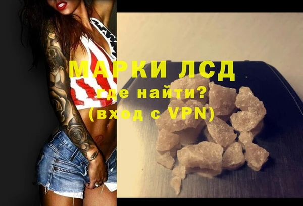 стаф Алзамай