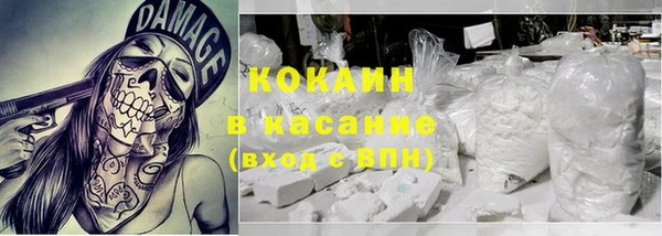 крисы Алексин