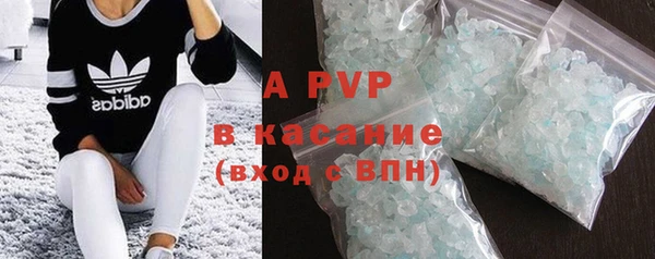 стаф Алзамай