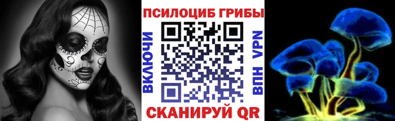 Псилоцибиновые грибы мицелий  где купить наркоту  Уржум 